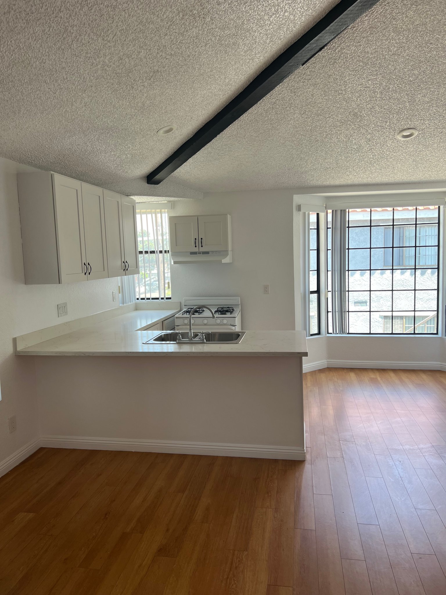 TUJUNGA Apartment: 10234 TUJUNGA CANYON BLVD
