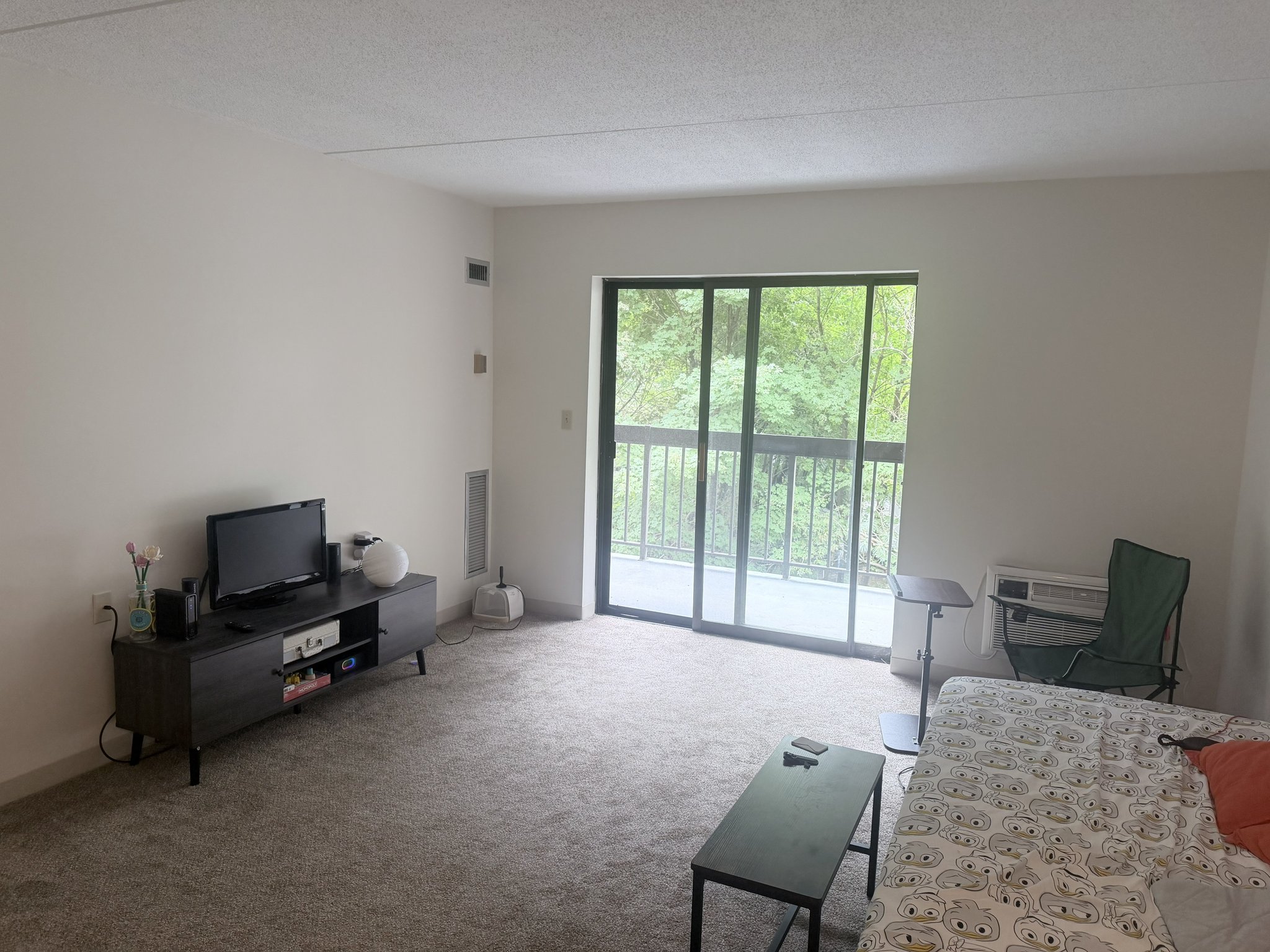 Wellesley Apartment: 4 Cedar St