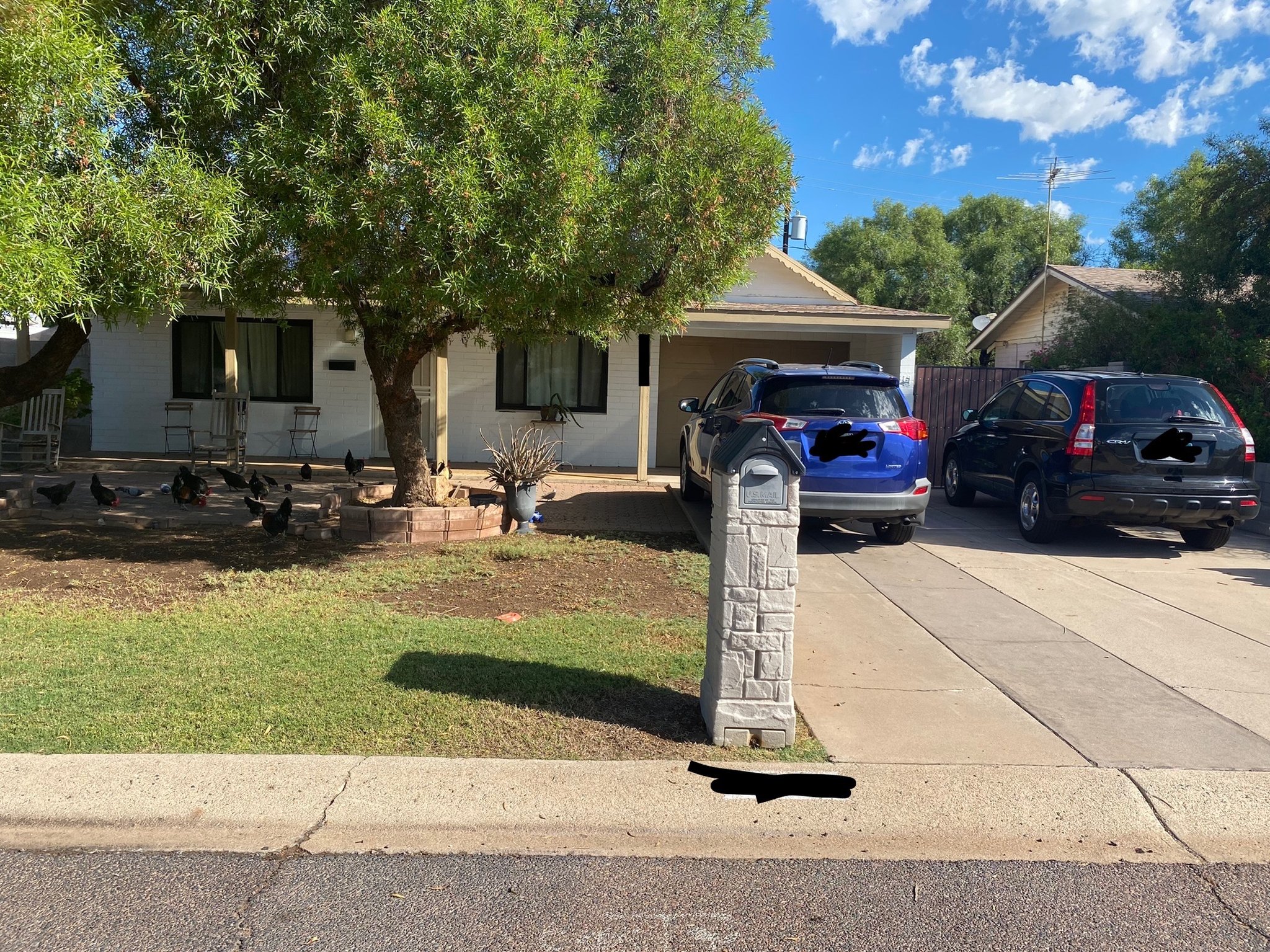 Phoenix Other: 3526 E Flower St