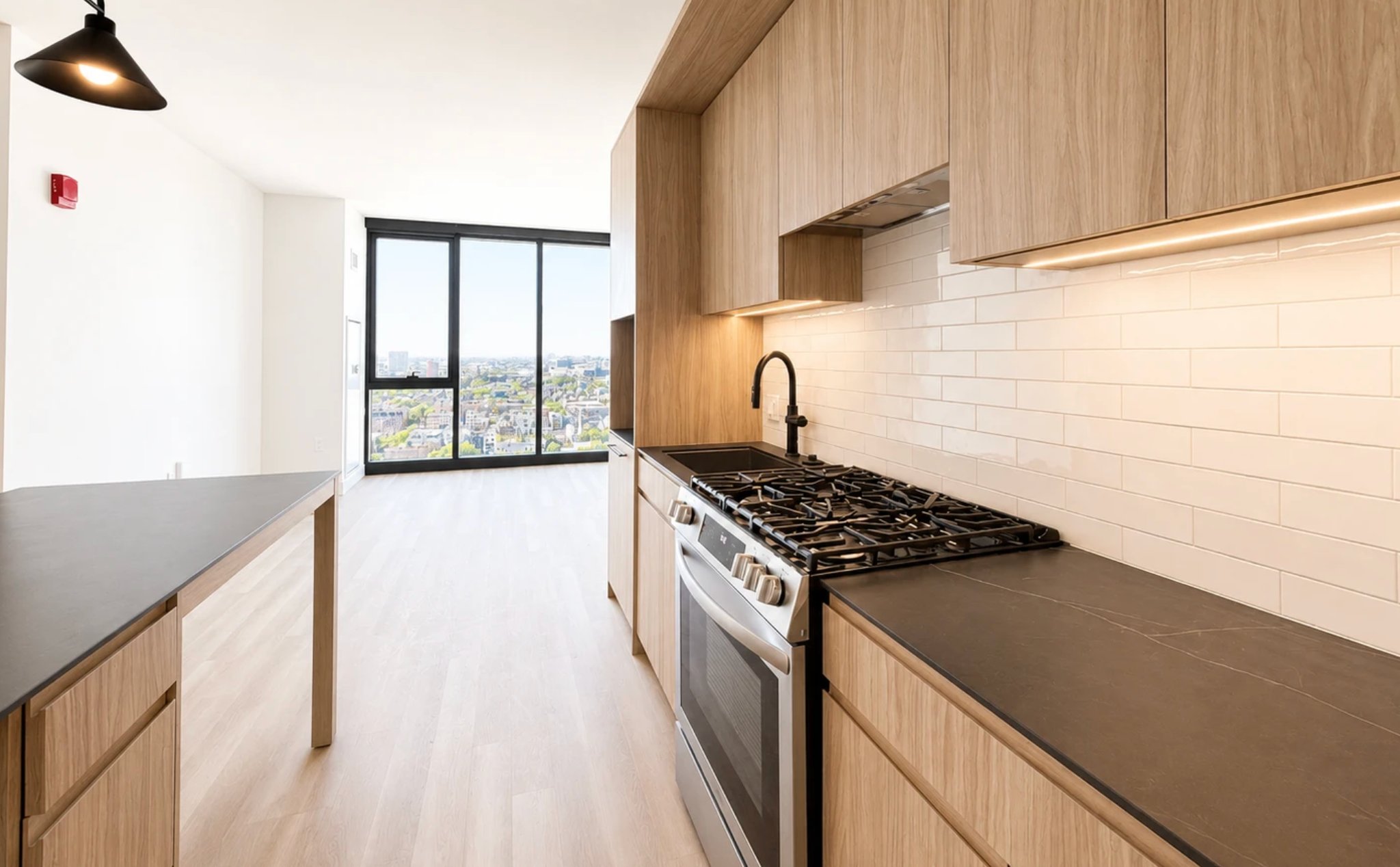 Chicago Condo: 210 N Ada St