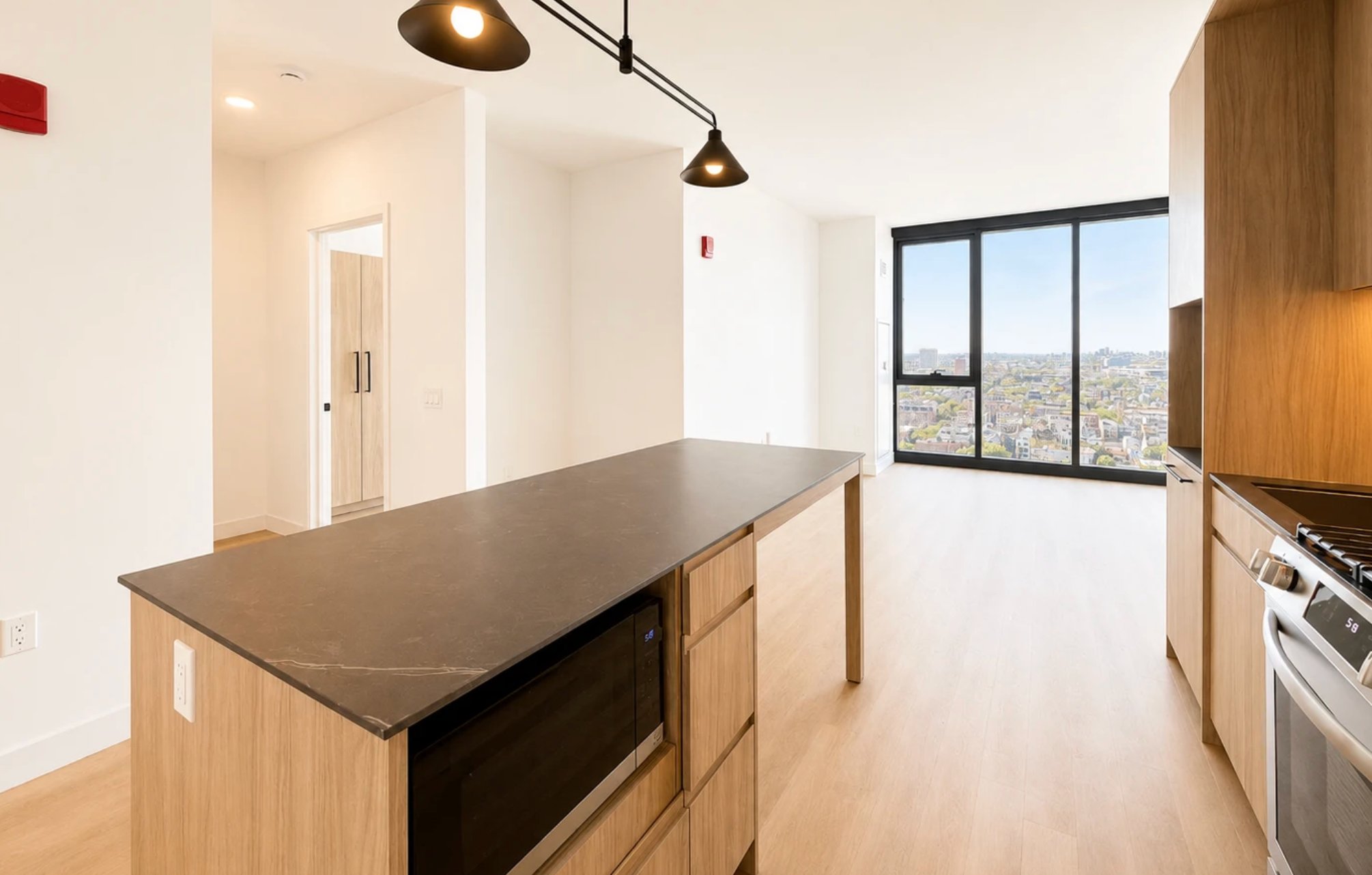 Chicago Condo: 210 N Ada St