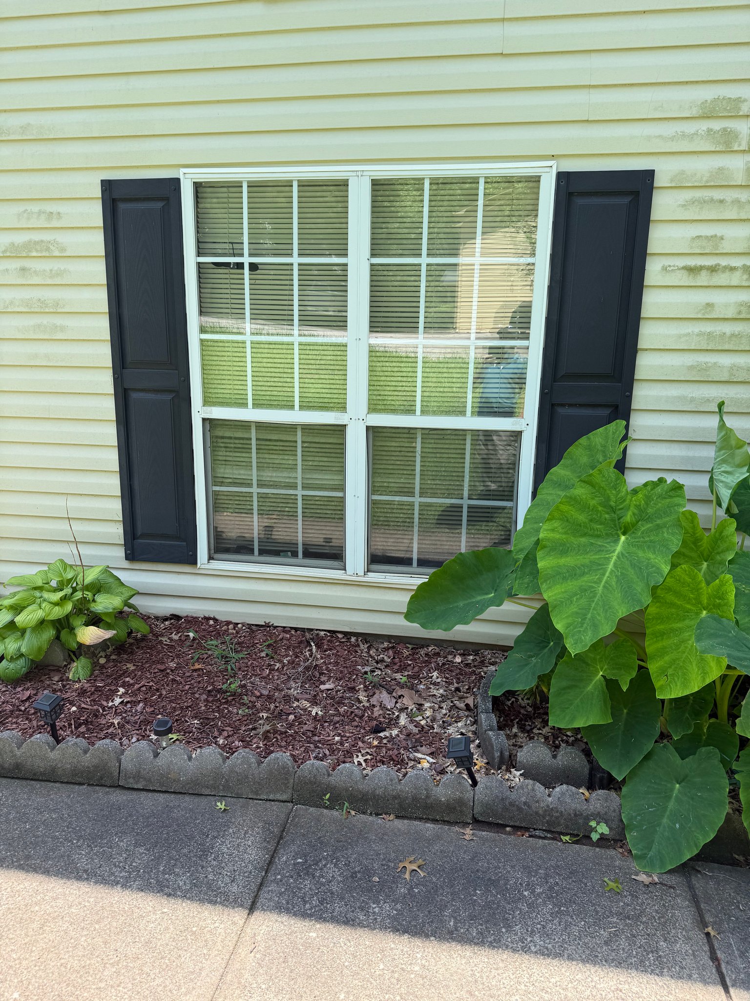 Flowery Branch Condo: 4782 Victoria Dr