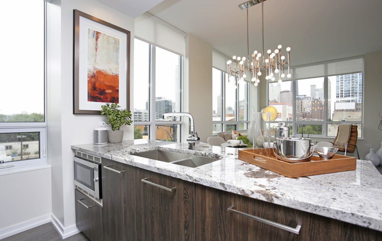 Chicago Condo: 738 N Hudson Ave