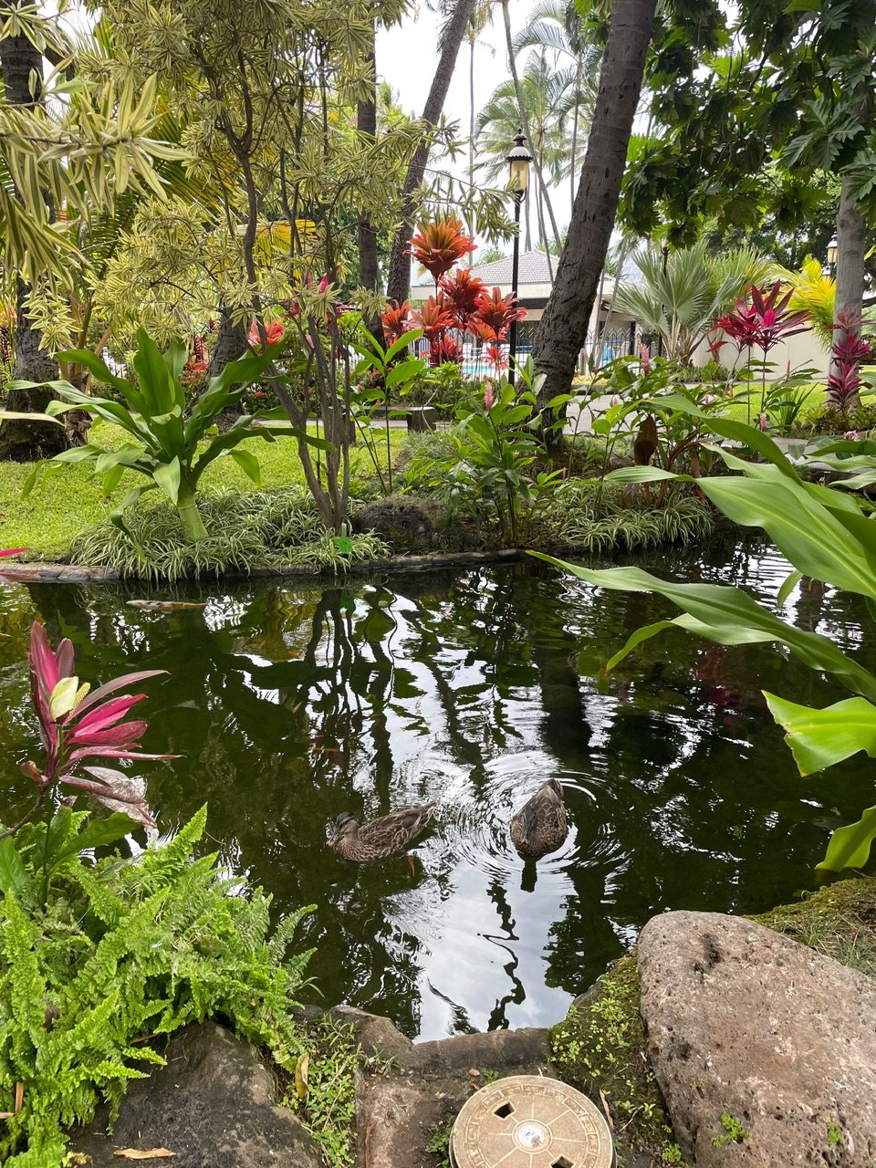 Honolulu Condo: 300 Wai Nani Way