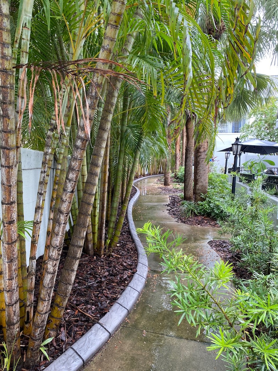 St Petersburg Townhome: 660 Delmar Ter S
