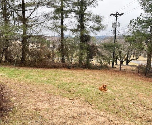 Ewing Multiplex: 126 Blakemore Mill Rd
