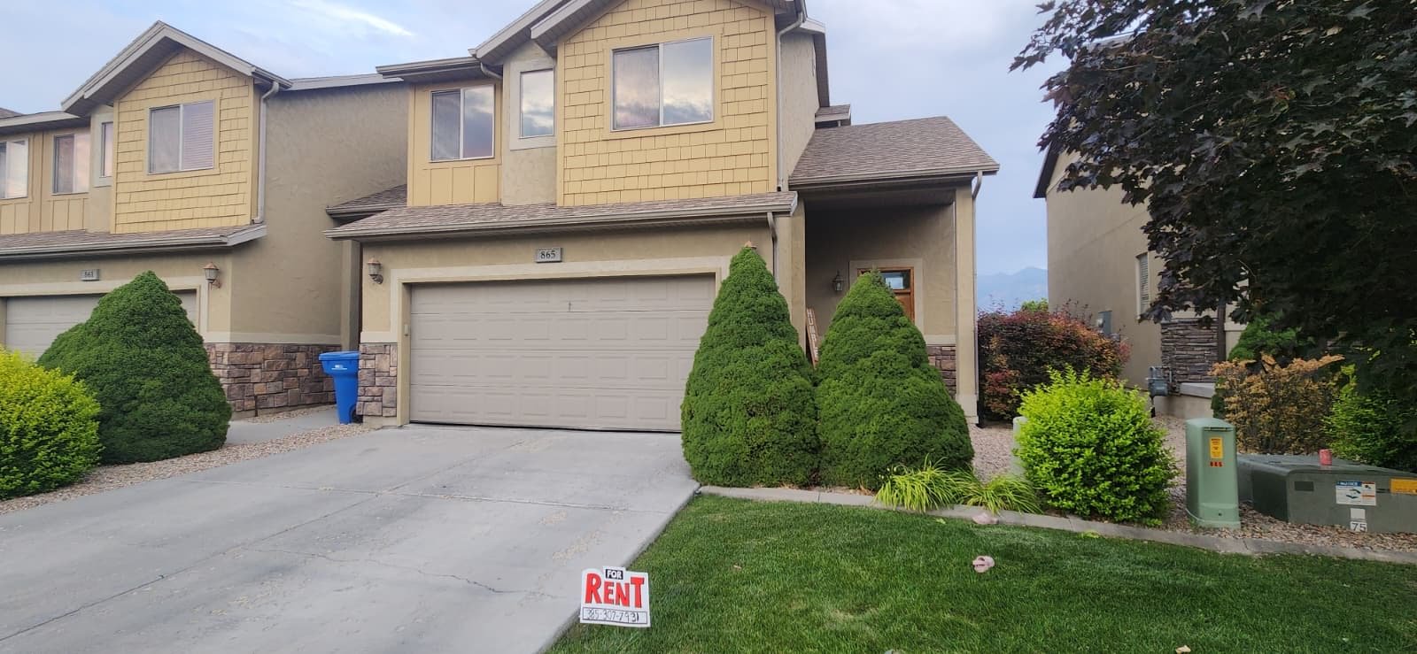 Vineyard Townhome: 865 S Pheasant Run