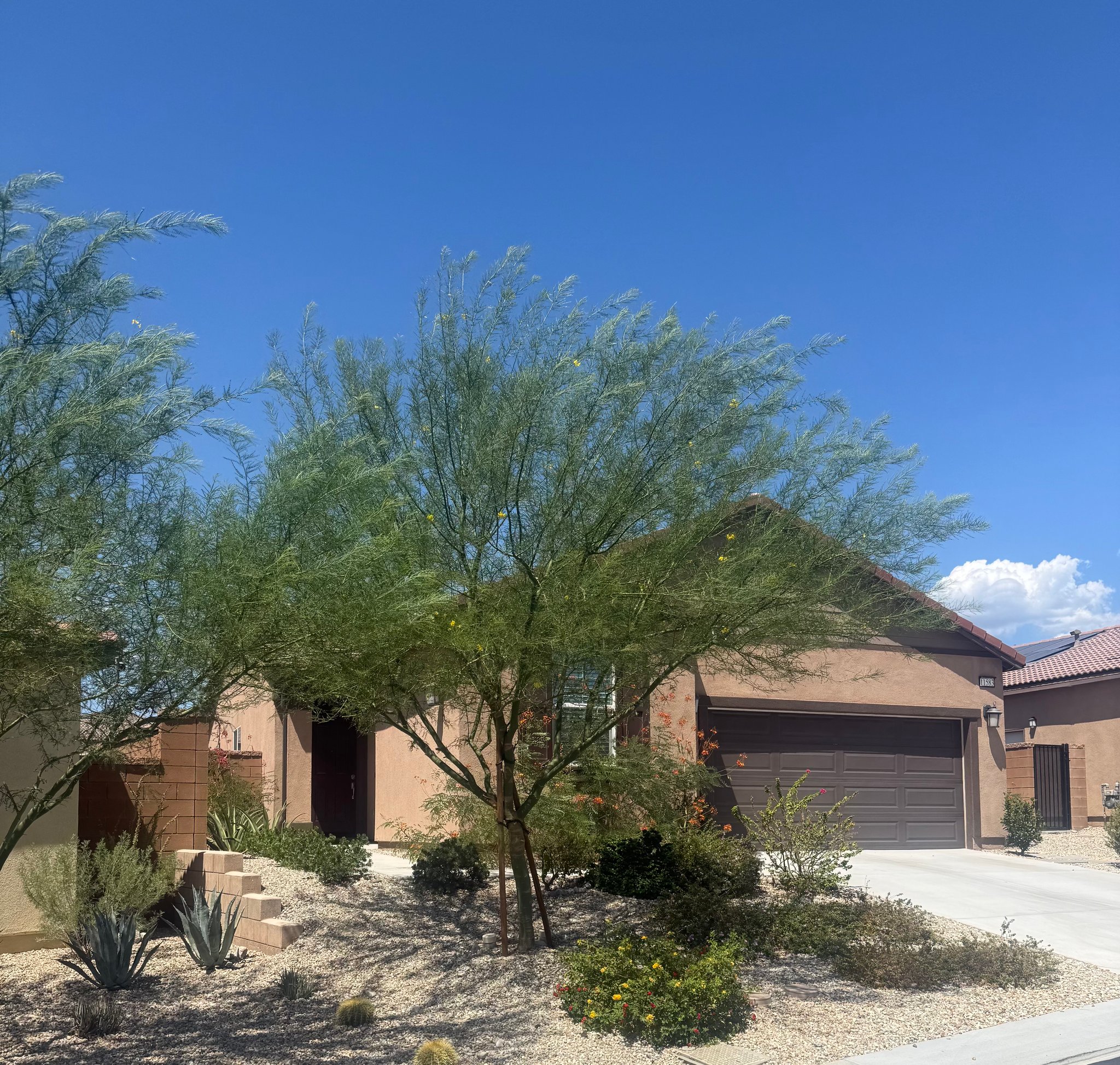 Desert Hot Springs House: 11583 Kitetail Drive