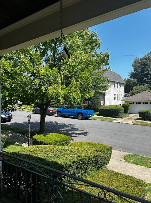 Scranton House: 805-807 North Irving Avenue