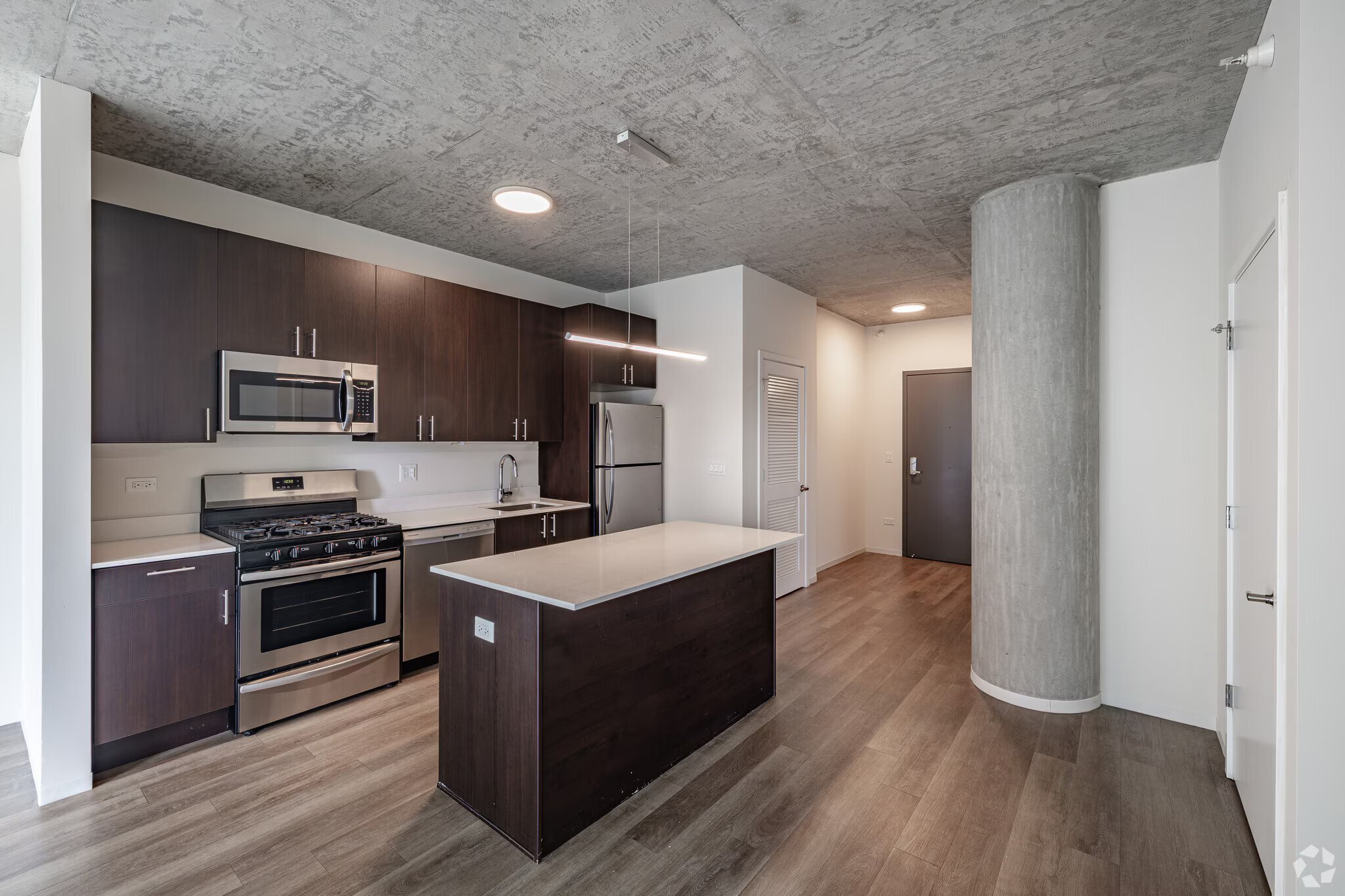 Chicago Condo: 51 East 14th St