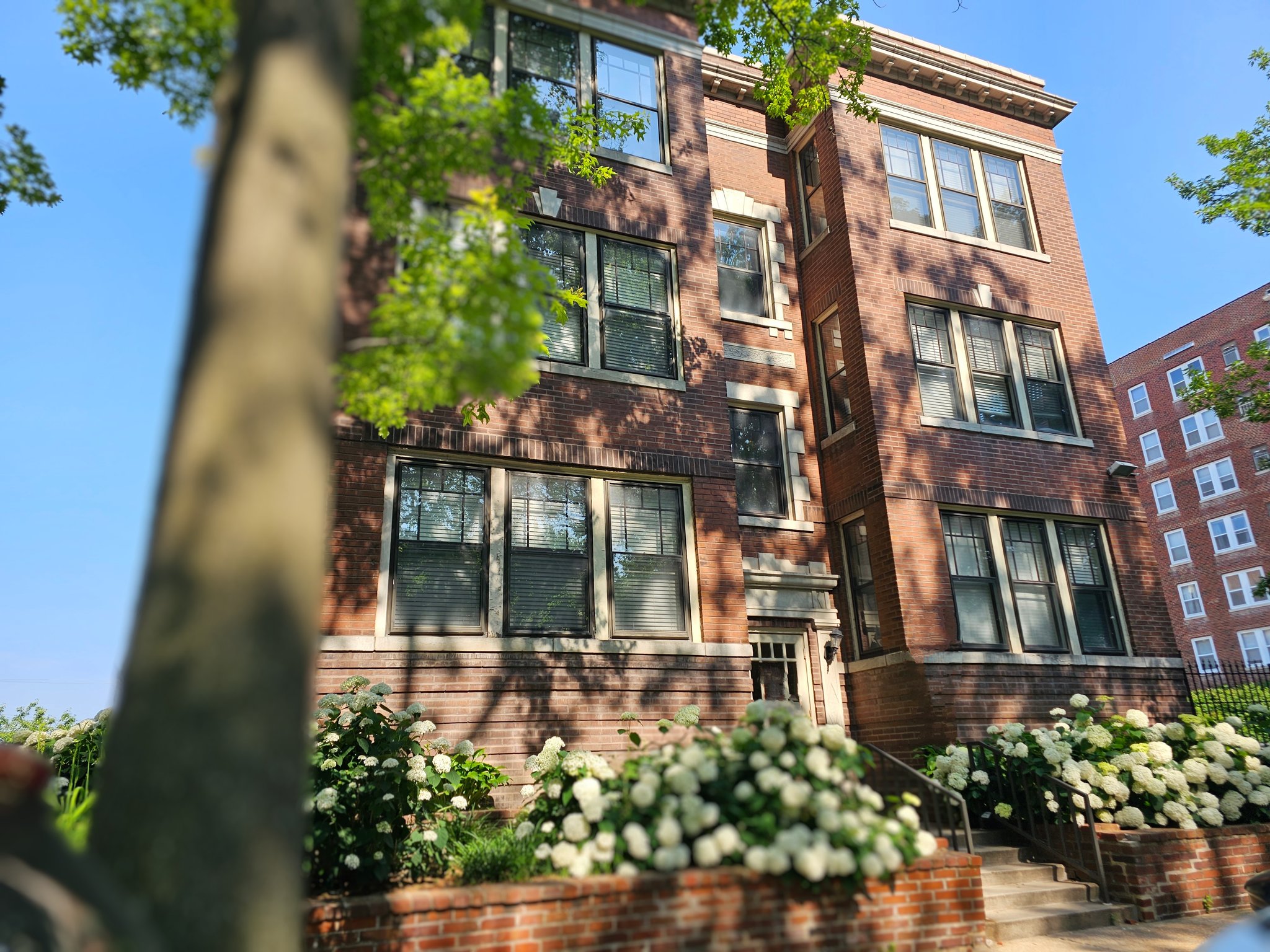 Saint Louis Condo: 533 Clara Ave