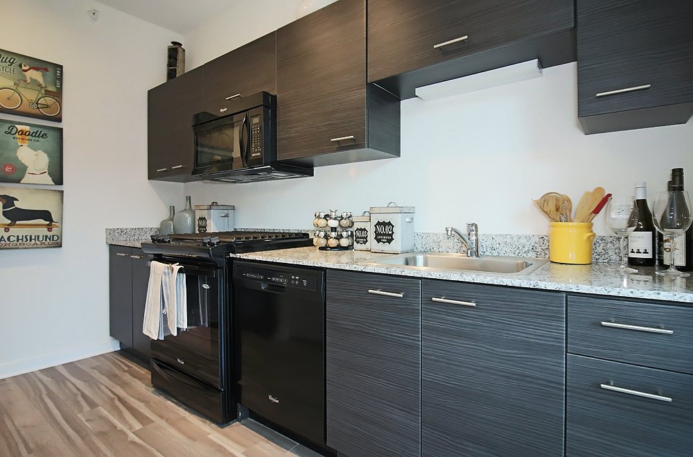 Chicago Condo: 804 N Lasalle St.