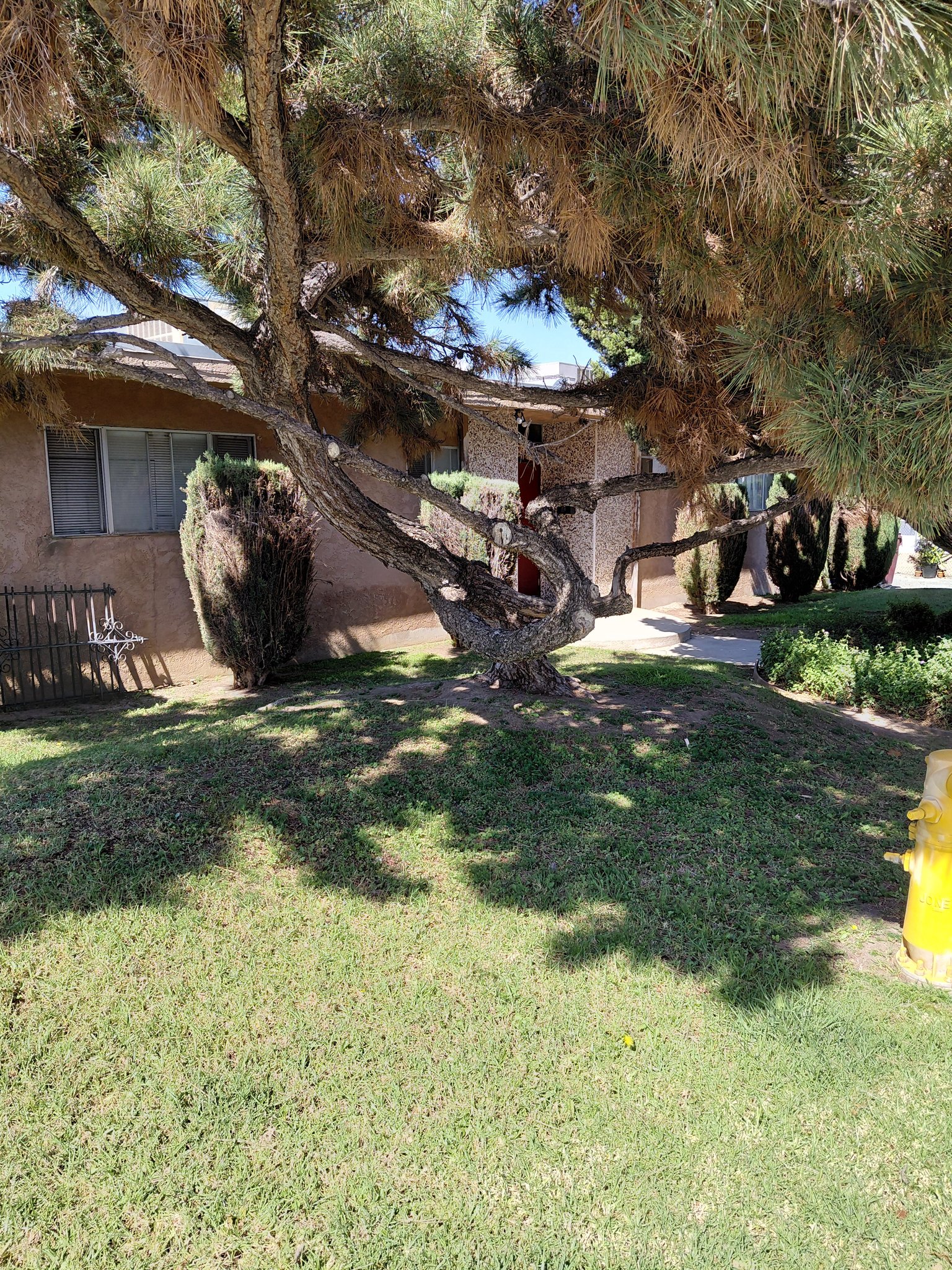 Norco Multiplex: 1819 Lampton Lane