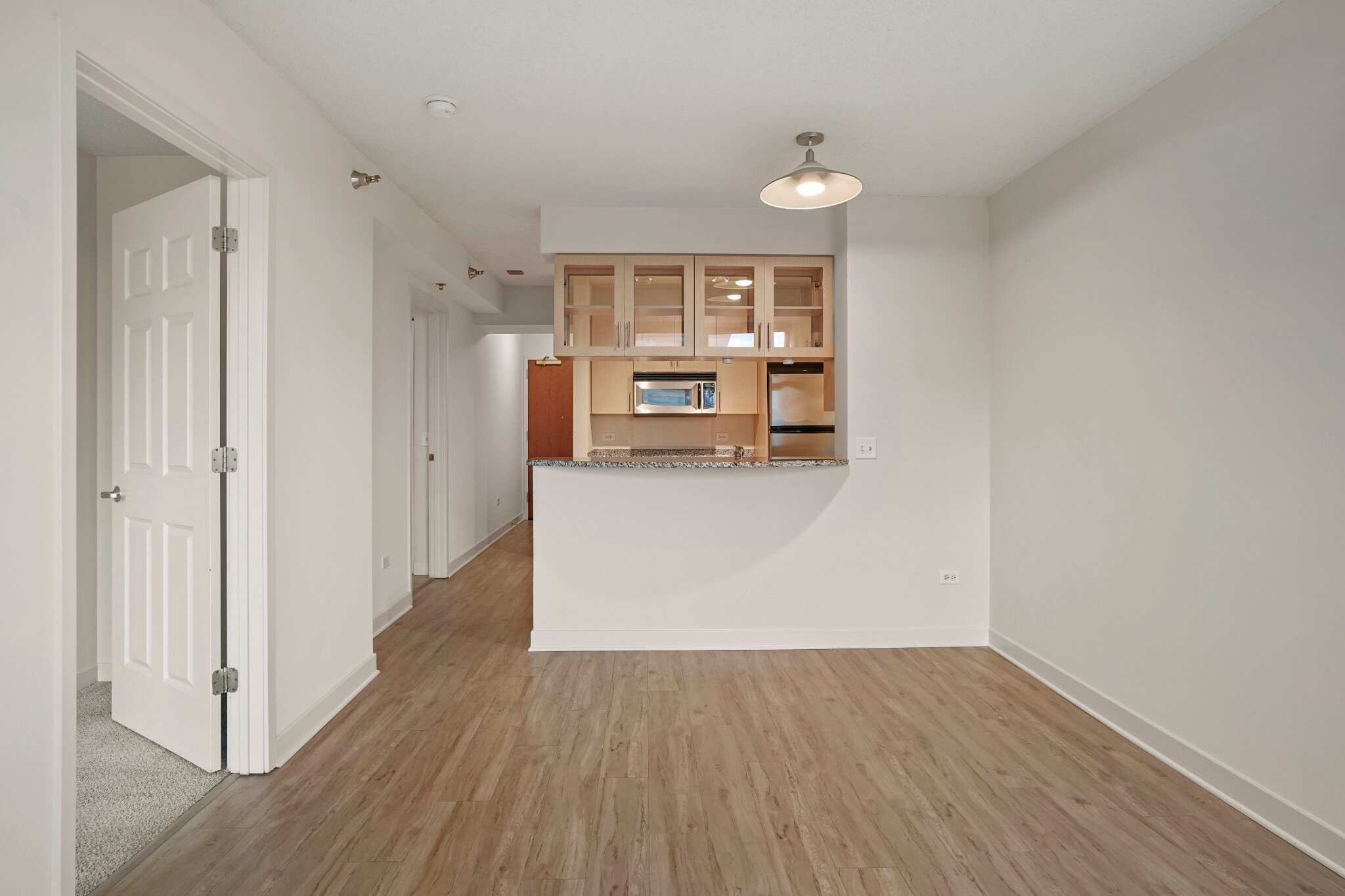 Chicago Condo: 1265 S Michigan Ave