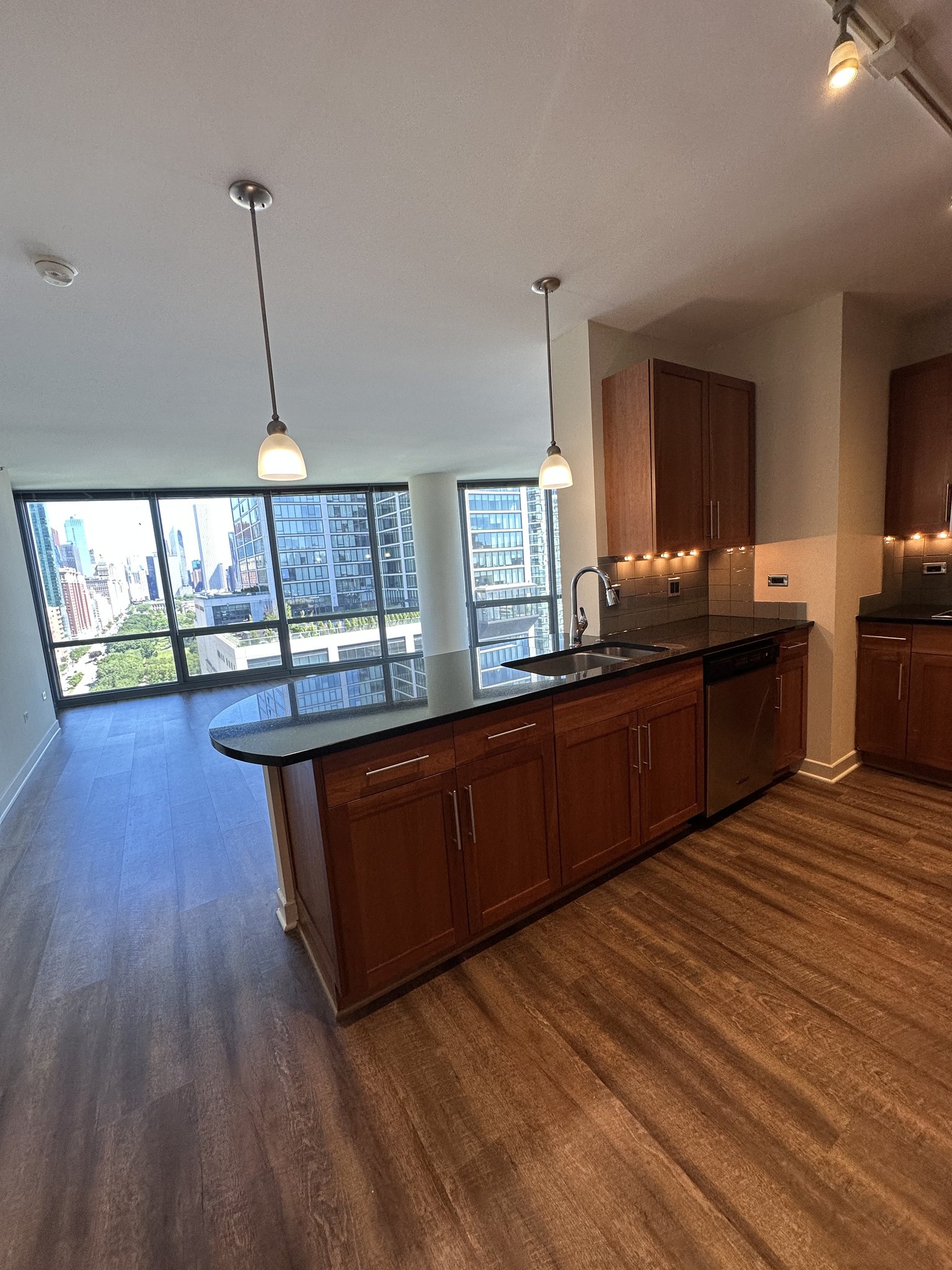 Chicago Condo: 1251 S Michigan Ave