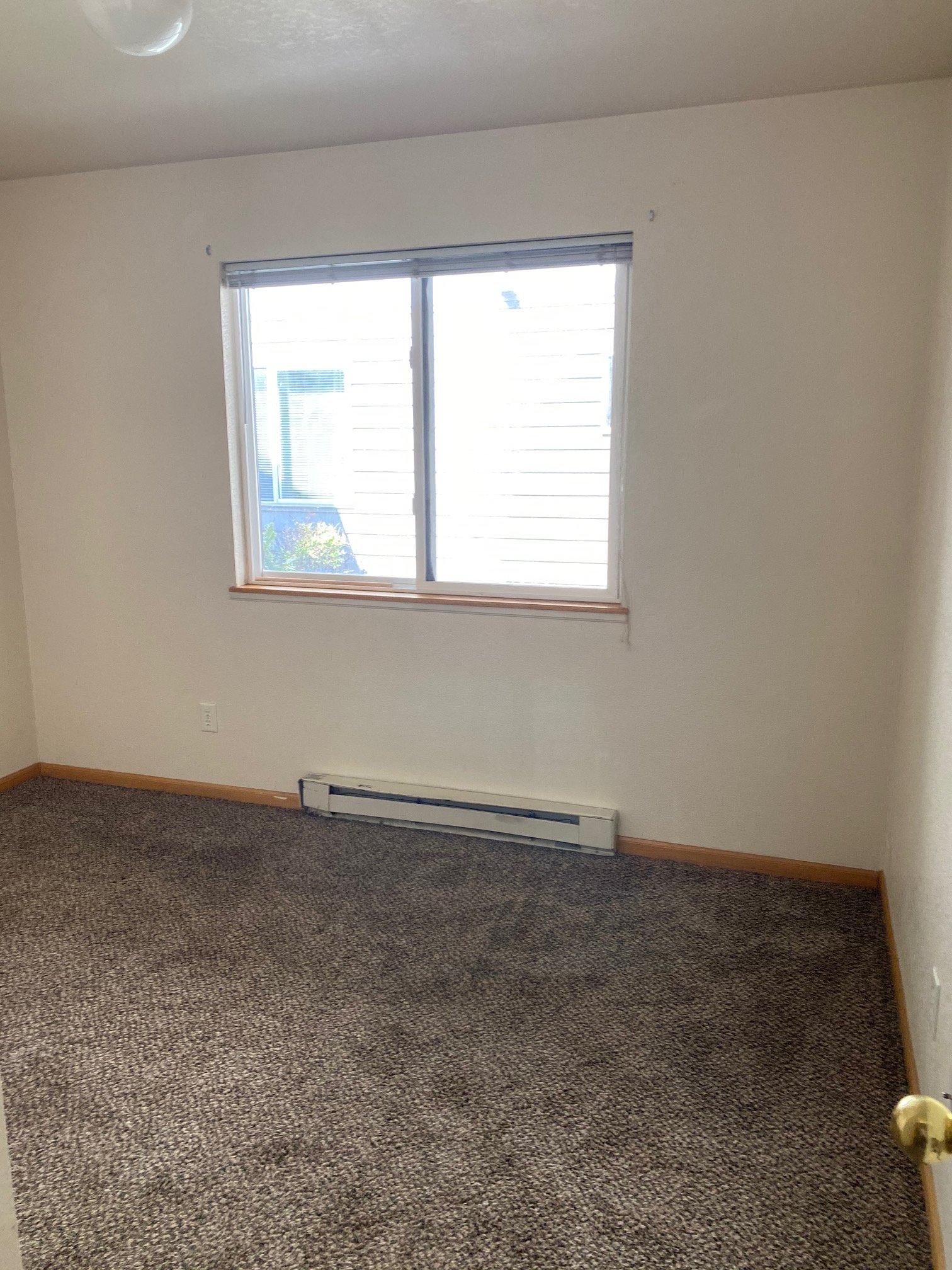 Fort Collins Apartment: 219 W Myrtle St