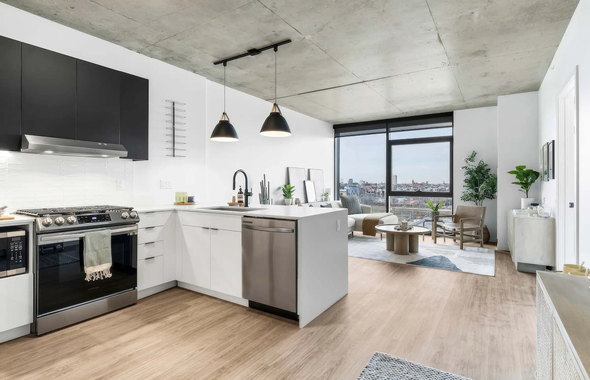 Chicago Condo: 228 N Elizabeth St