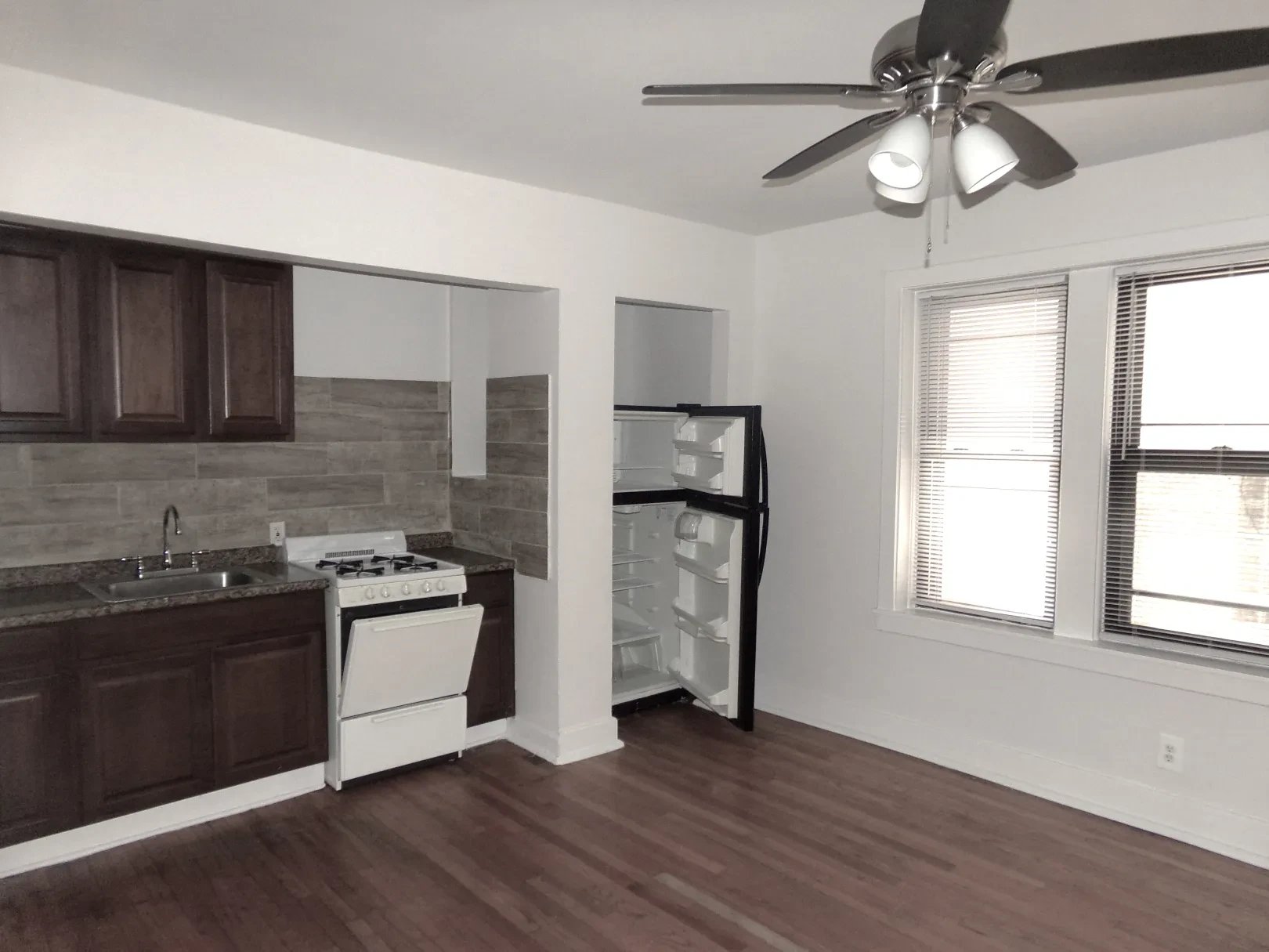 Chicago Apartment: 1619 West Morse Avenue