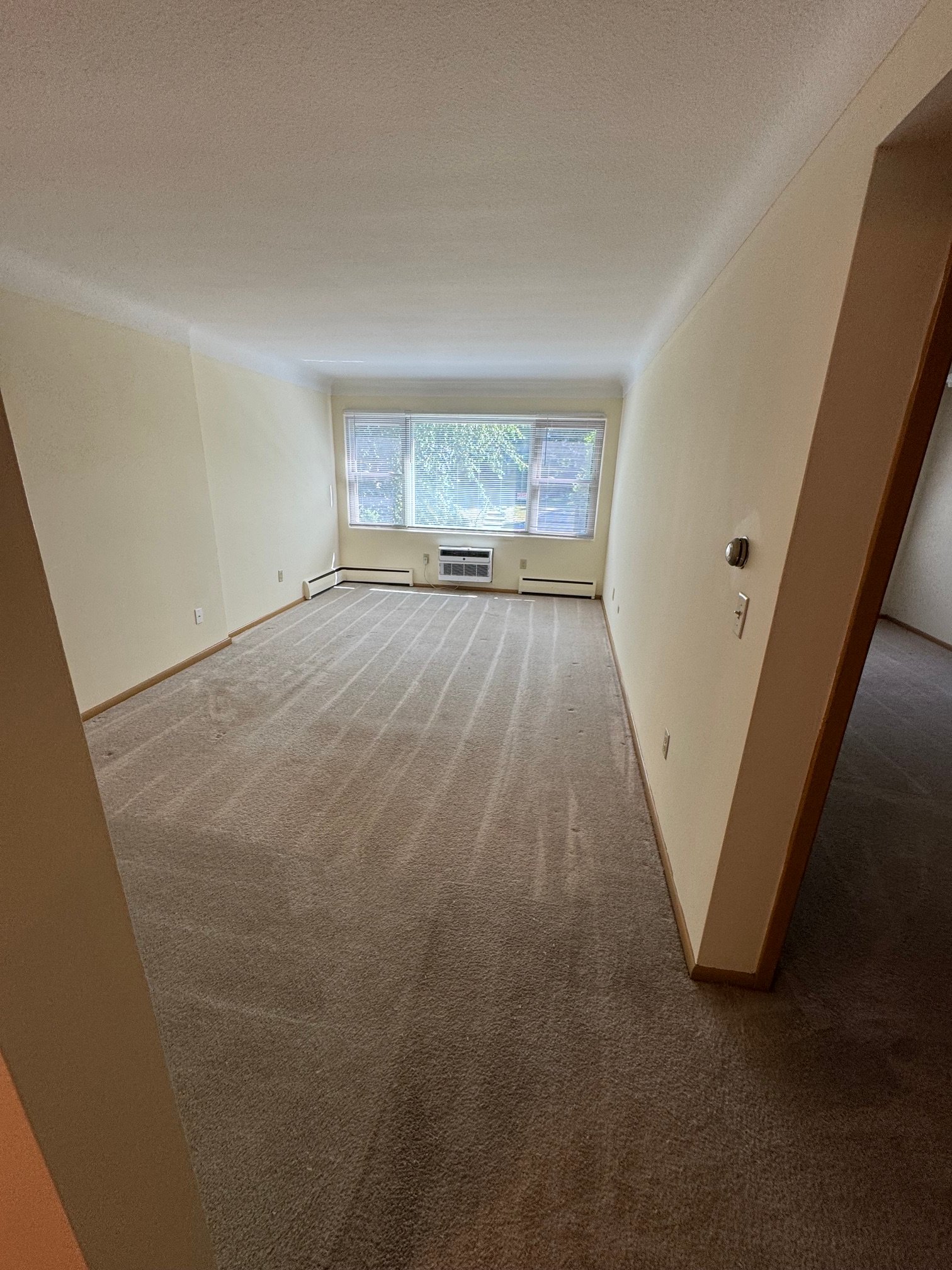 St. Paul Apartment: 1161 st clair ave