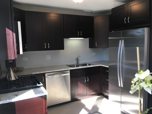 Oak Park Condo: 1135 Augusta St 60302