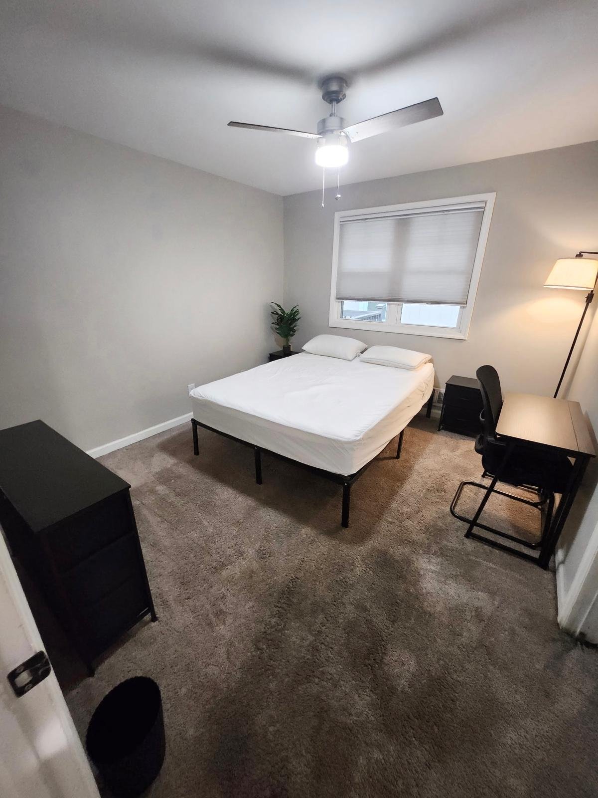 College Park Single Room: 4111 Fredericksburg Dr