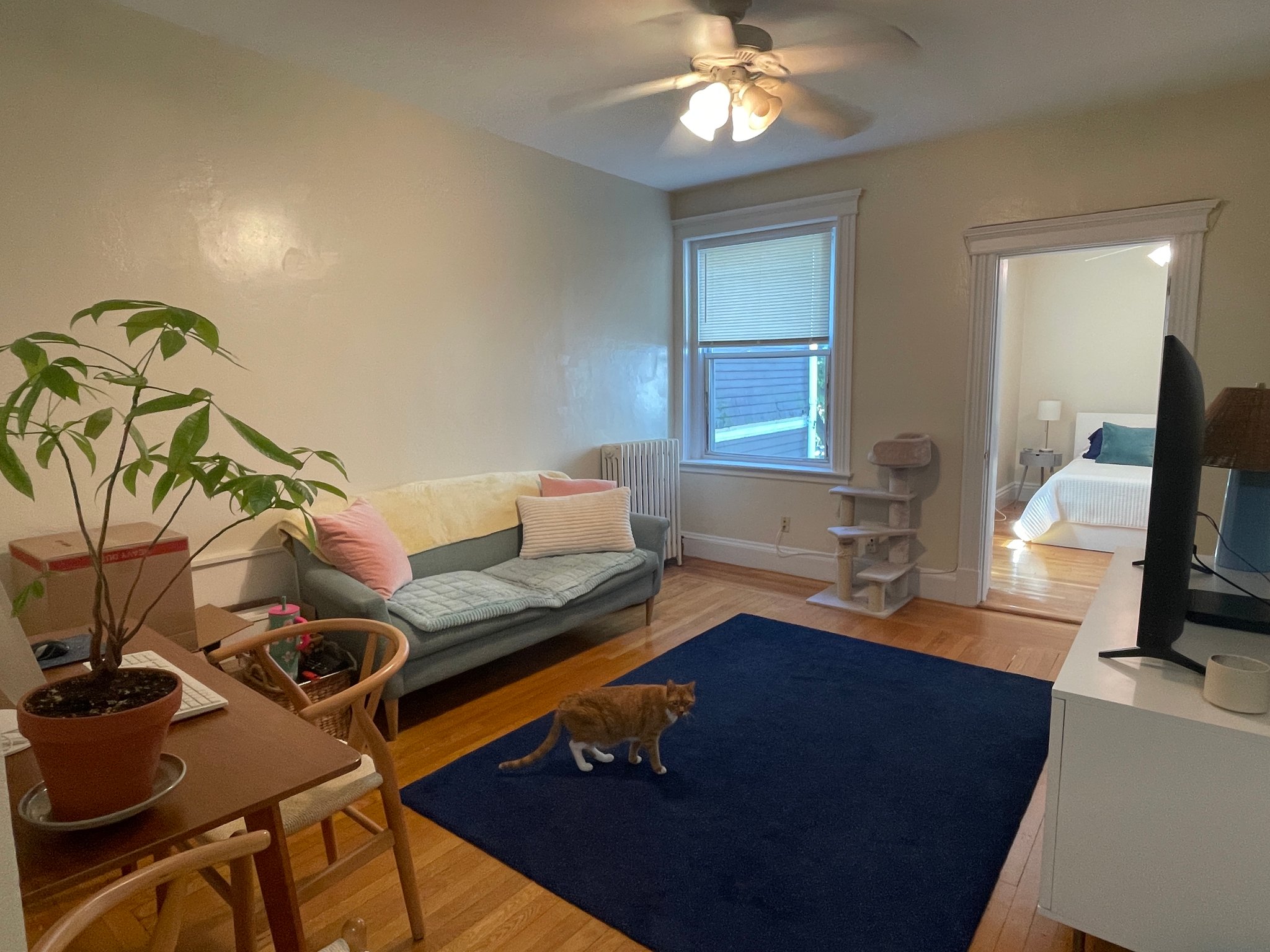 brookline Apartment: 30 littell rd