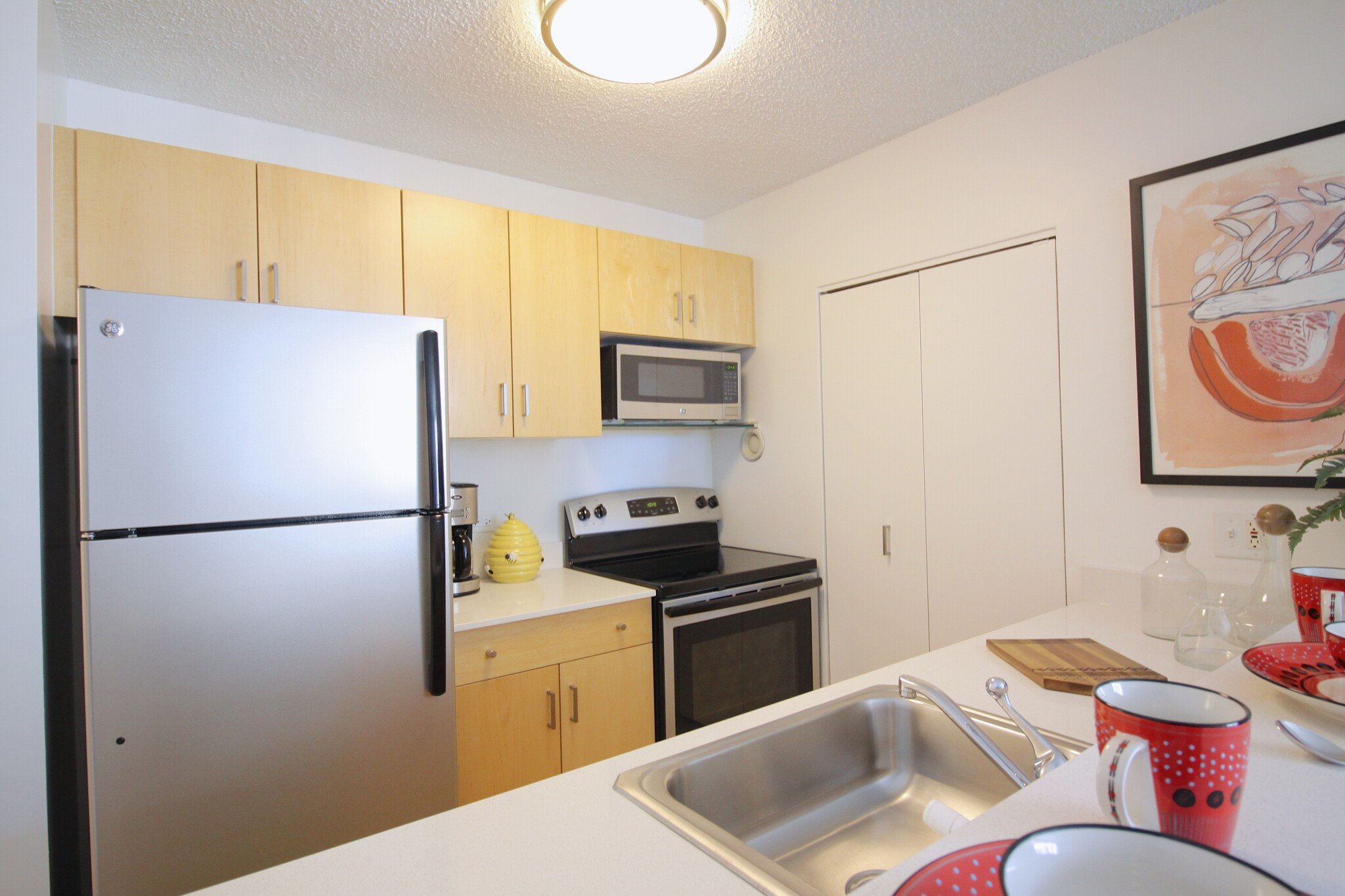 Chicago Condo: 749 North Clark Street