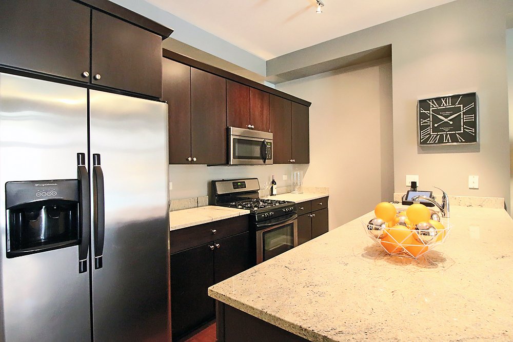 Chicago Condo: 1949 S Wabash Ave