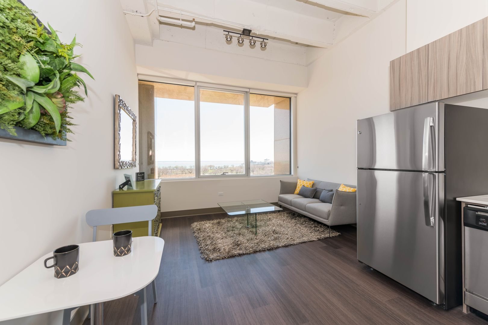Chicago Condo: 839 S Michigan Ave