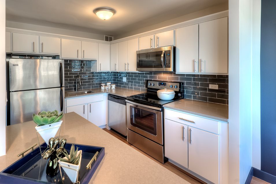 Chicago Condo: 1139 S Michigan Ave