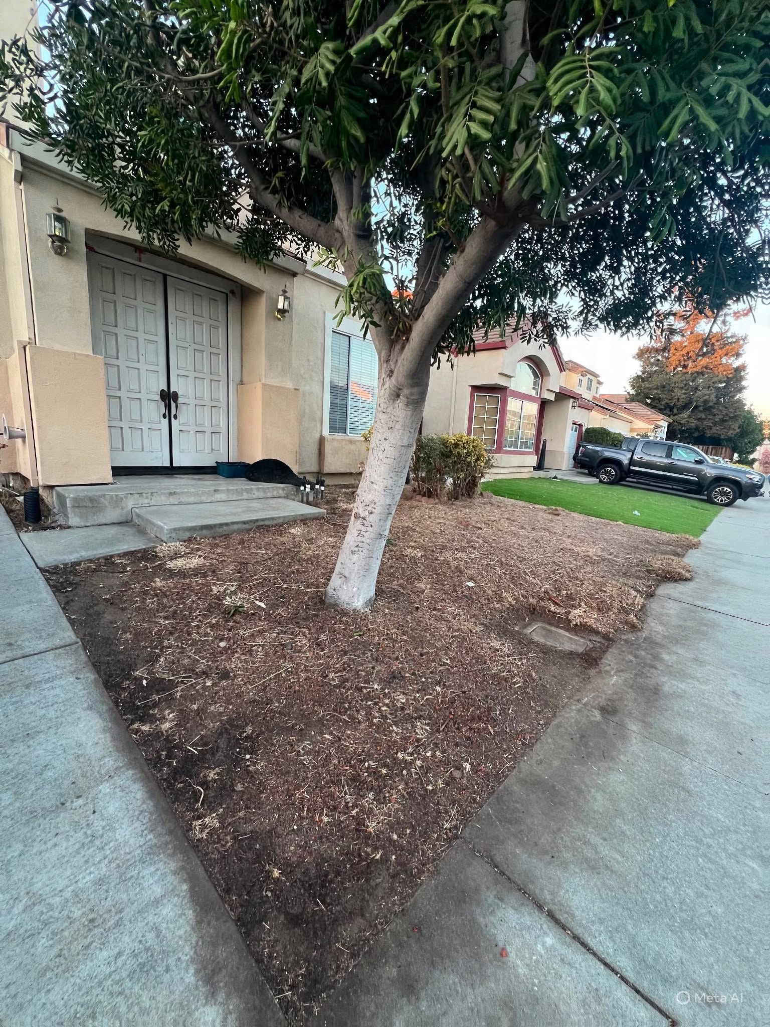 Milpitas House: 181 Summerwind Dr