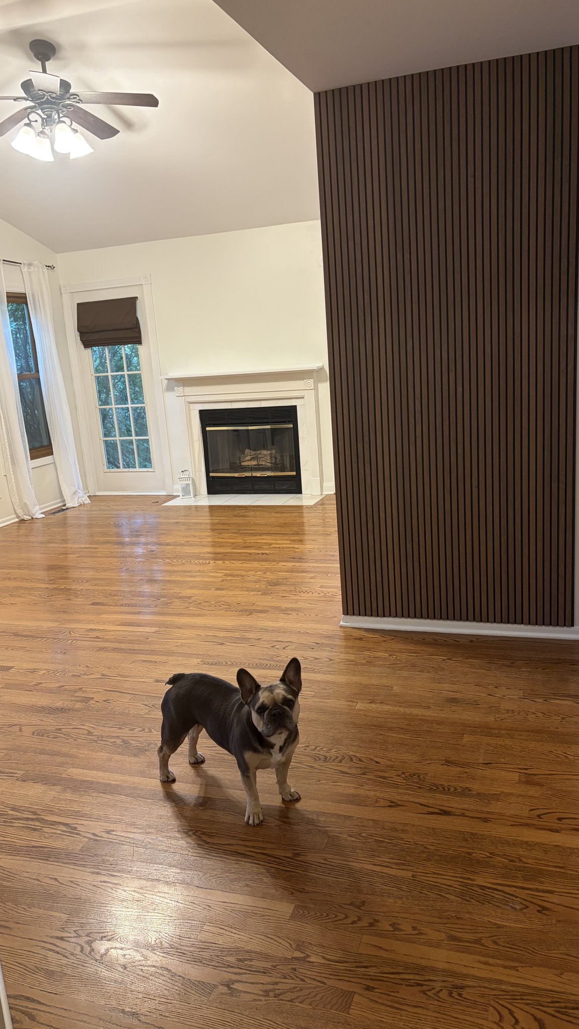 Vernon Hills House: 113 N. Fiore pkw