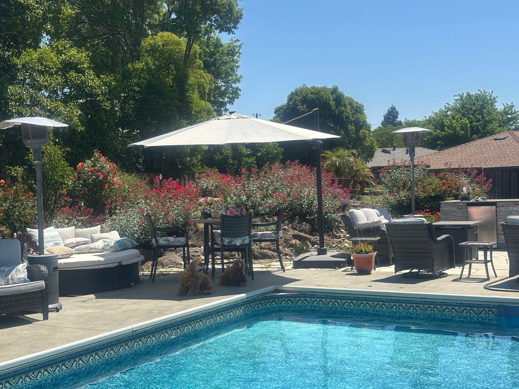 Livermore Single Room: 3845 Madeira Way