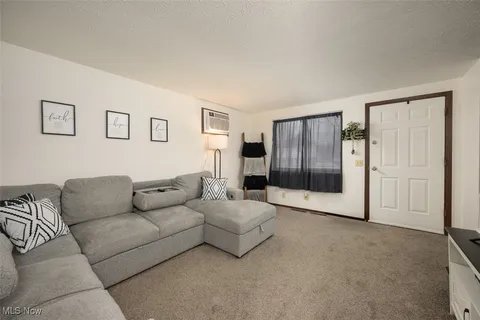 East Canton Townhome: 227 Berger St. N