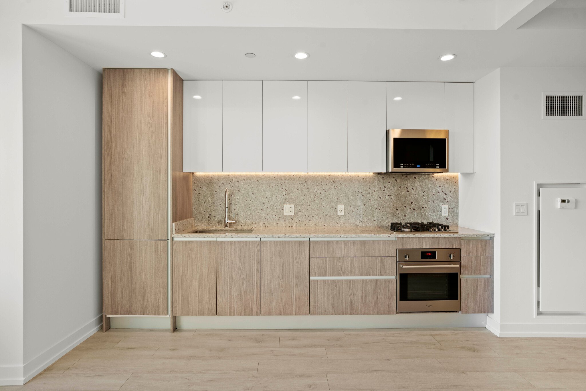 Chicago Condo: 203 W Hill St