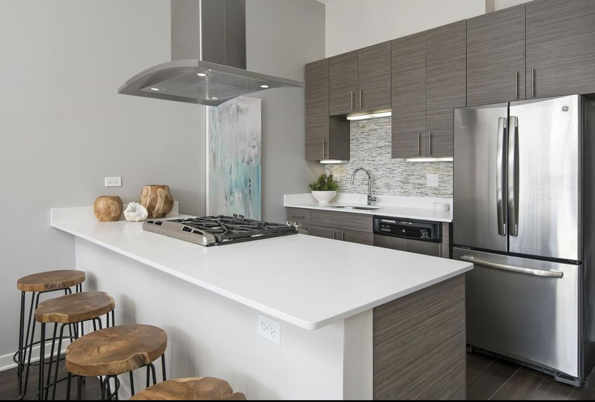 Chicago Condo: 1216 W Madison