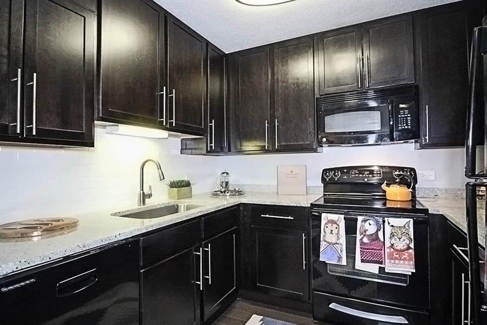 Chicago Condo: 661 North Clark Street