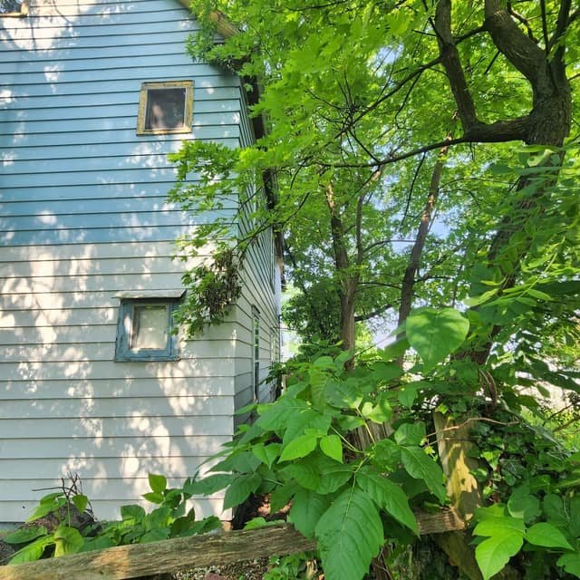 Cleveland House: 2847 E 98th St