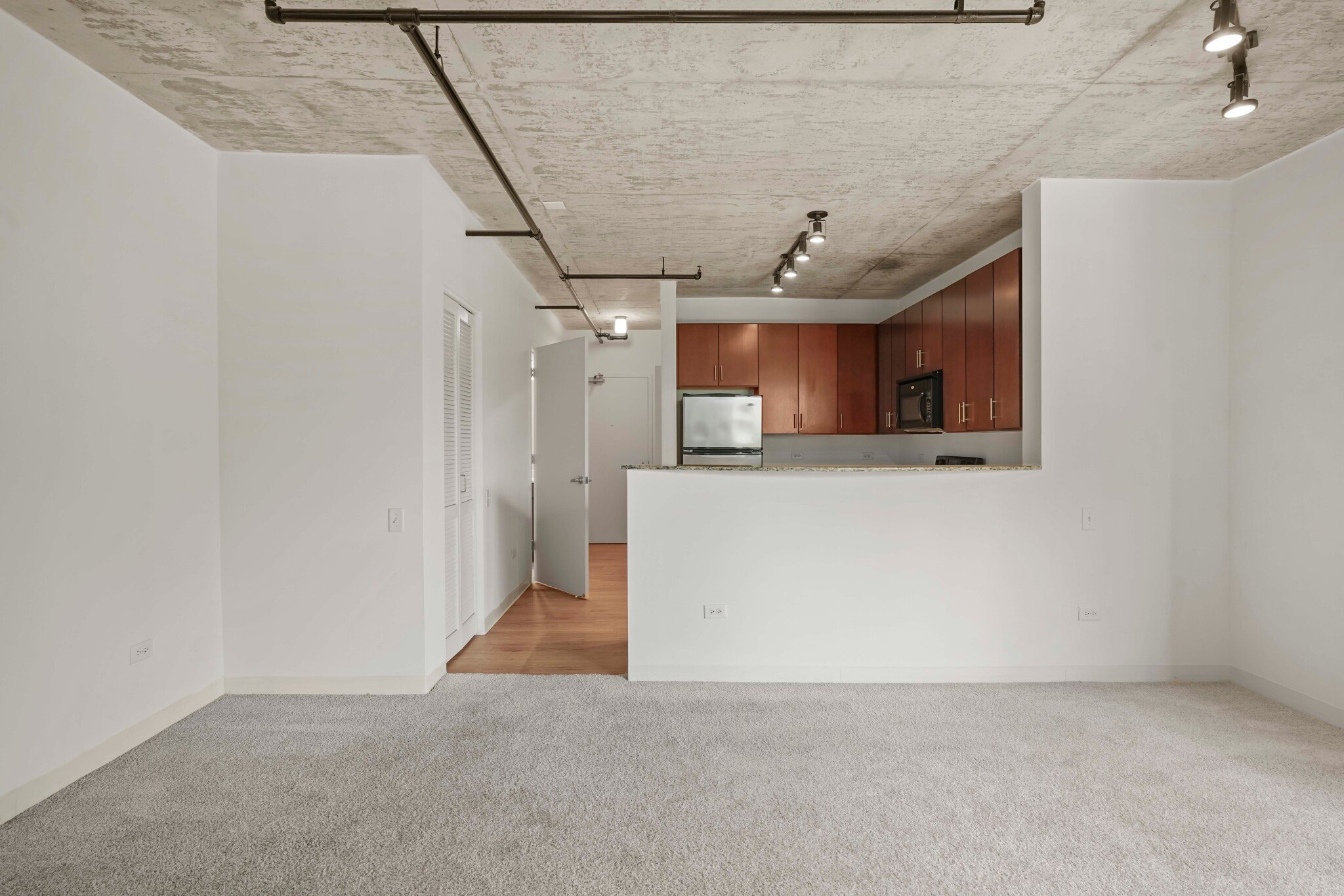 Chicago Condo: 904 S Clark St