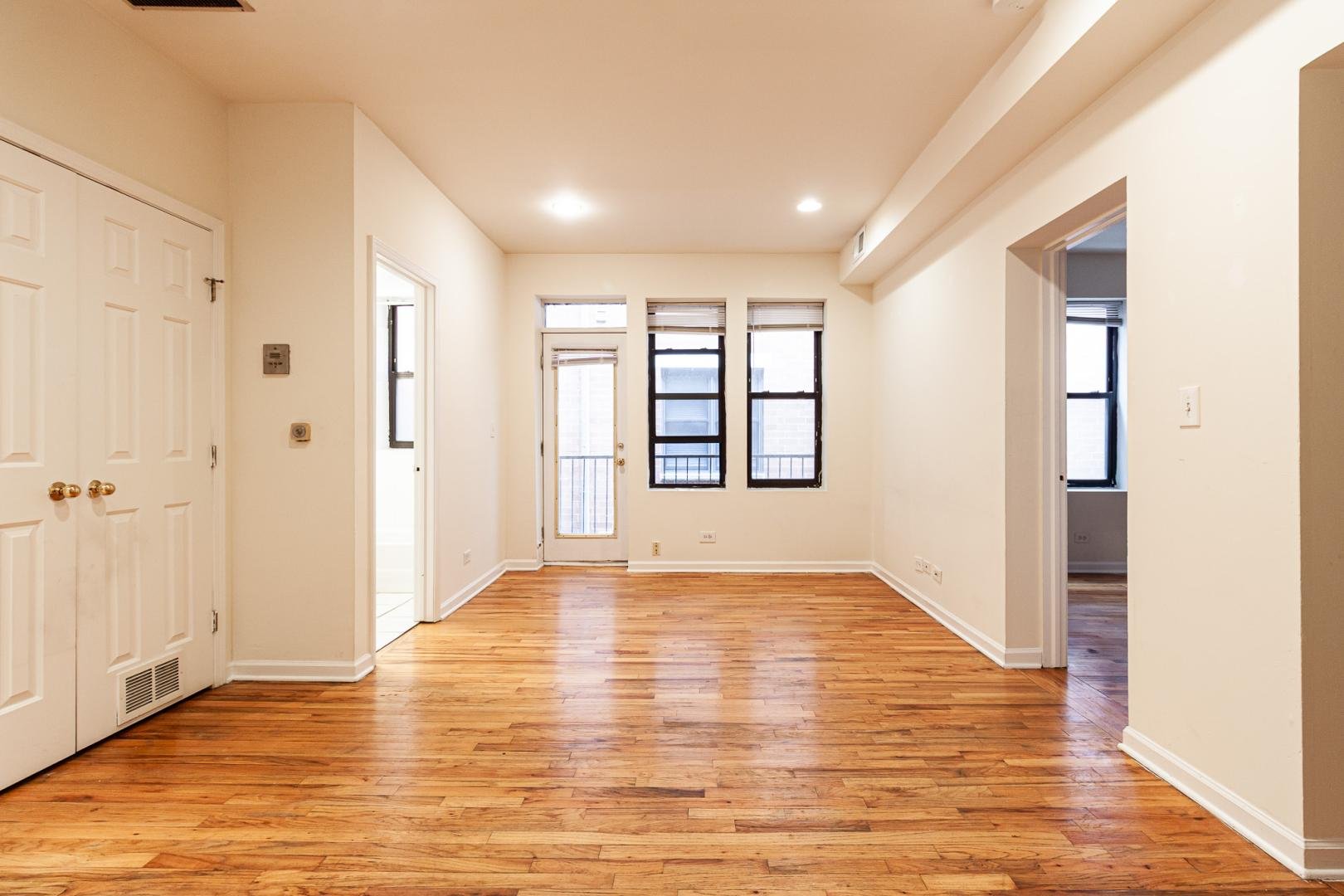 Chicago Apartment: 917 West Dakin Street