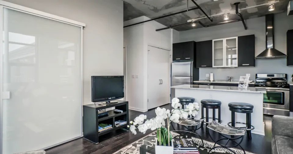Chicago Apartment: 1135 South Delano Court #W427 Chicago, IL 60605