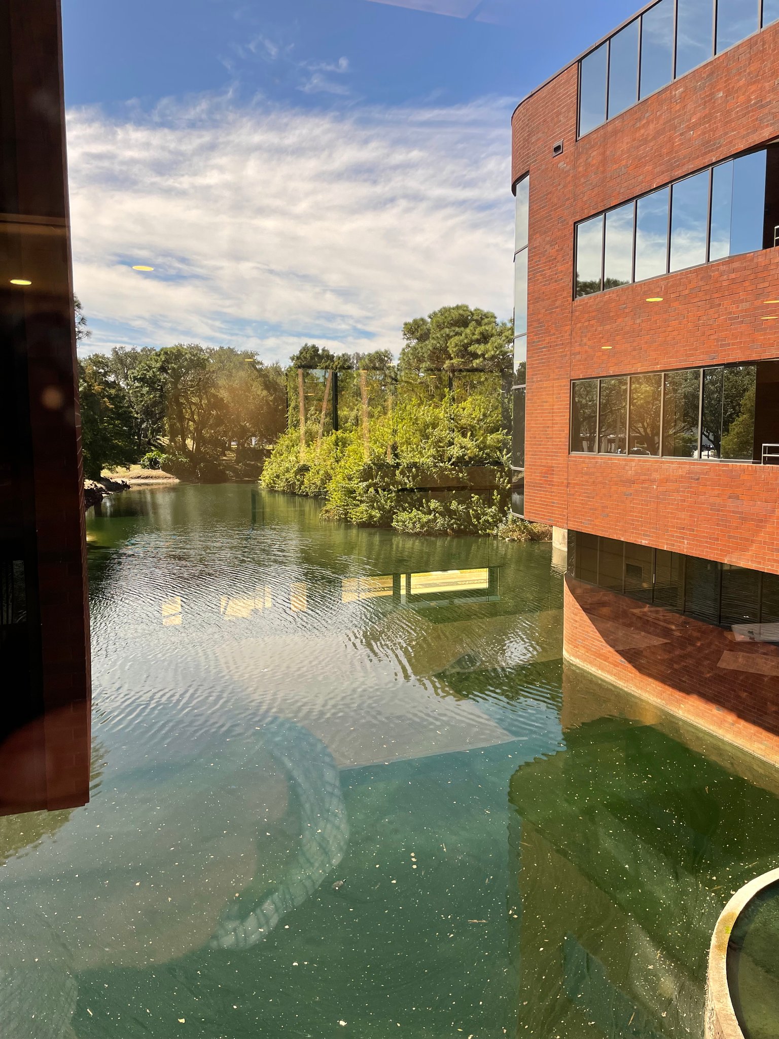 Clearwater Apartment: 15950 Bay Vista Drive