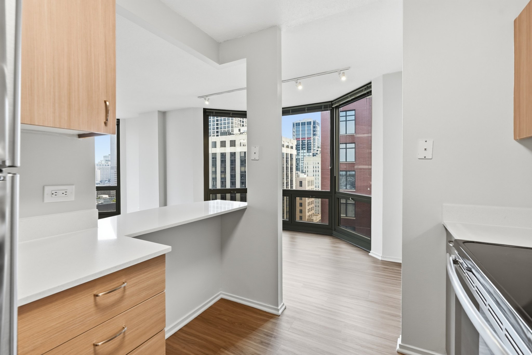 Chicago Condo: 55 W Elm Street