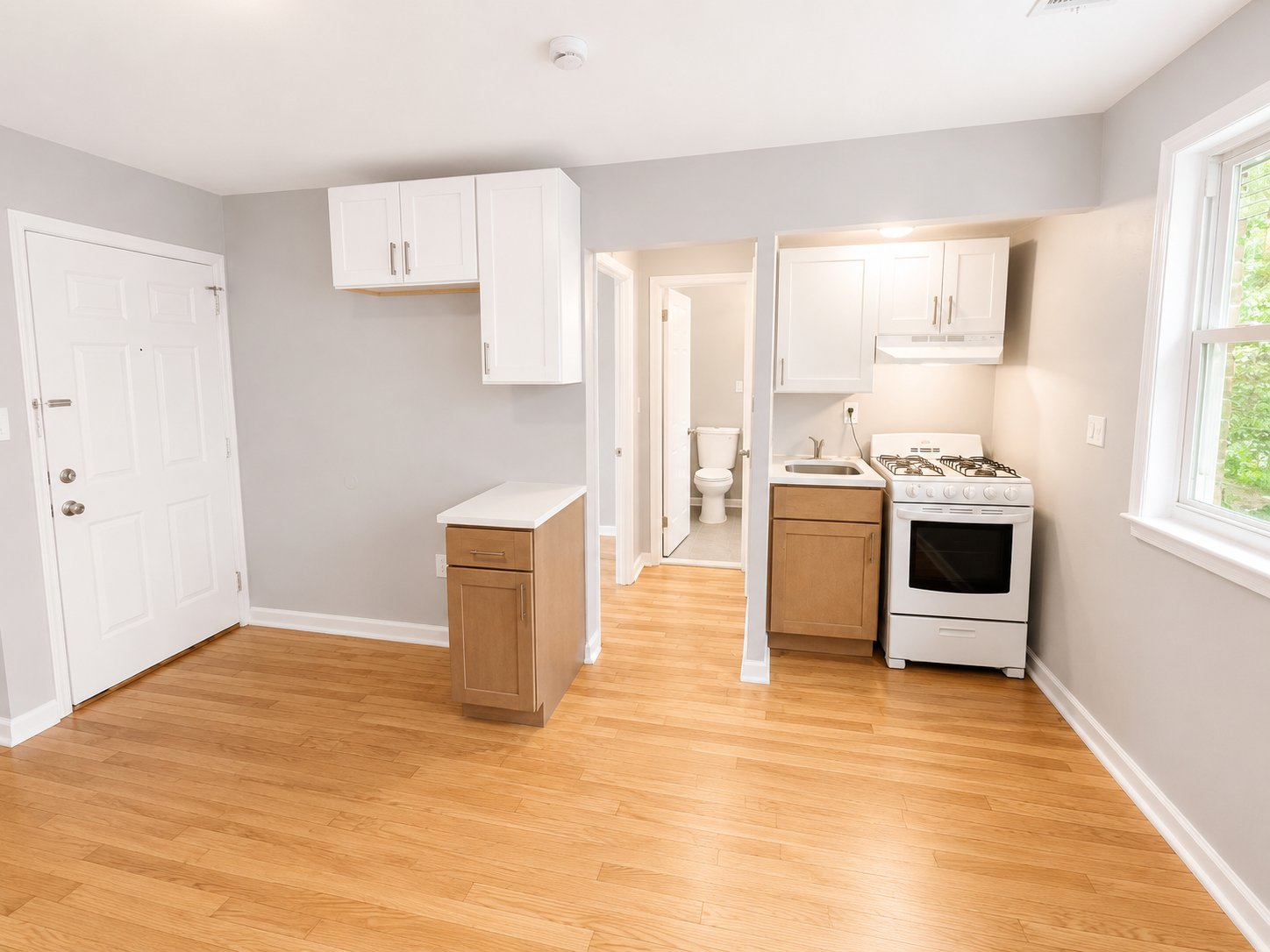 Newark Apartment: 377 Clinton Pl