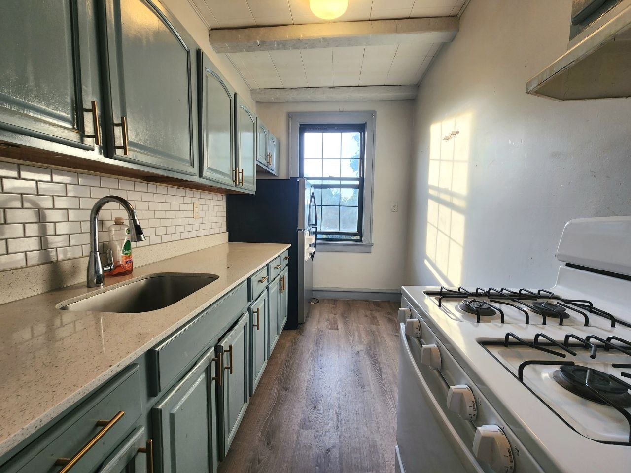 Audubon Apartment: 109 Chestnut St
