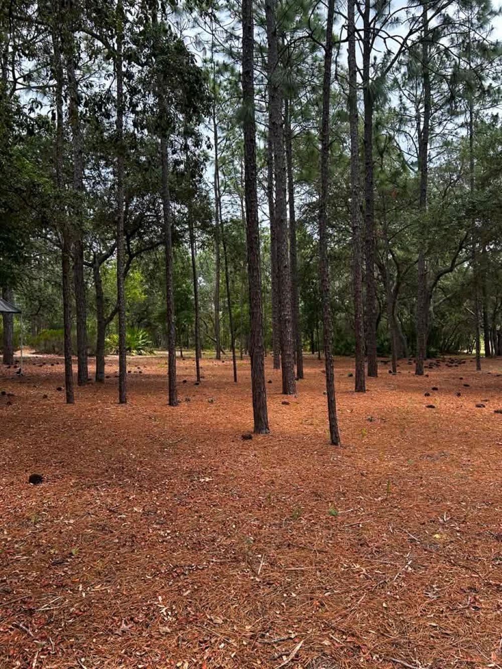 Dunnellon House: 5553 SW 181st Ct