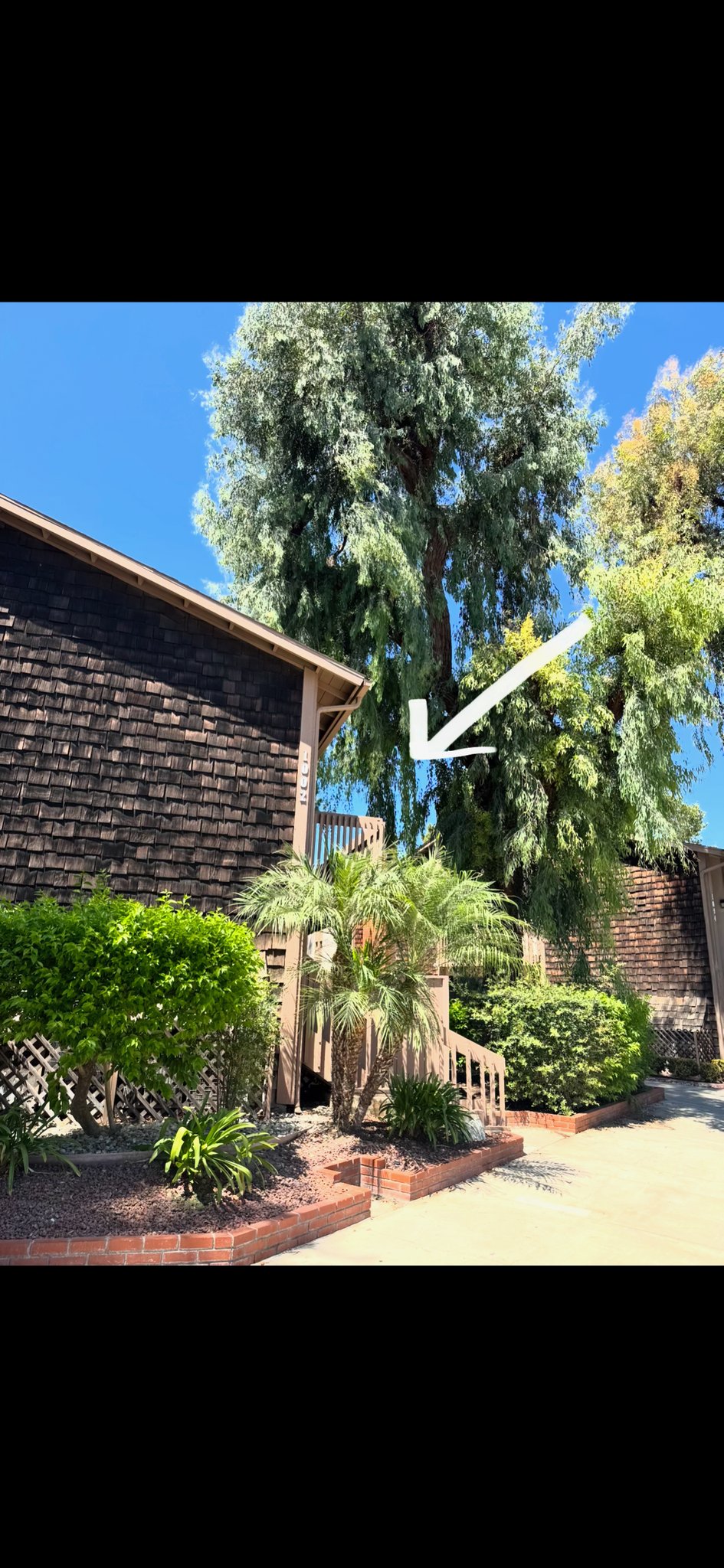 Santa Ana House: 1002 Cabrillo Park Dr
