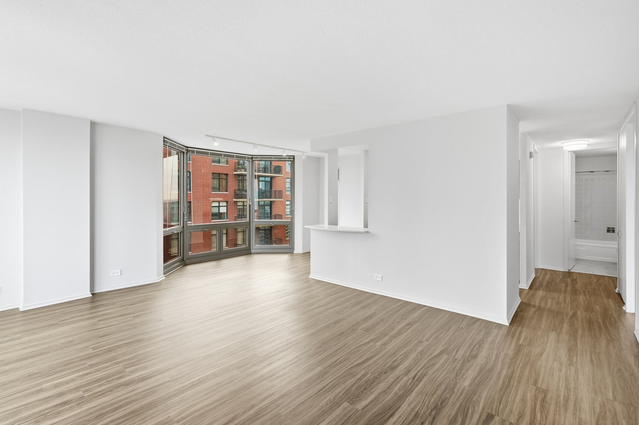 Chicago Condo: 1138 N Dearborn St