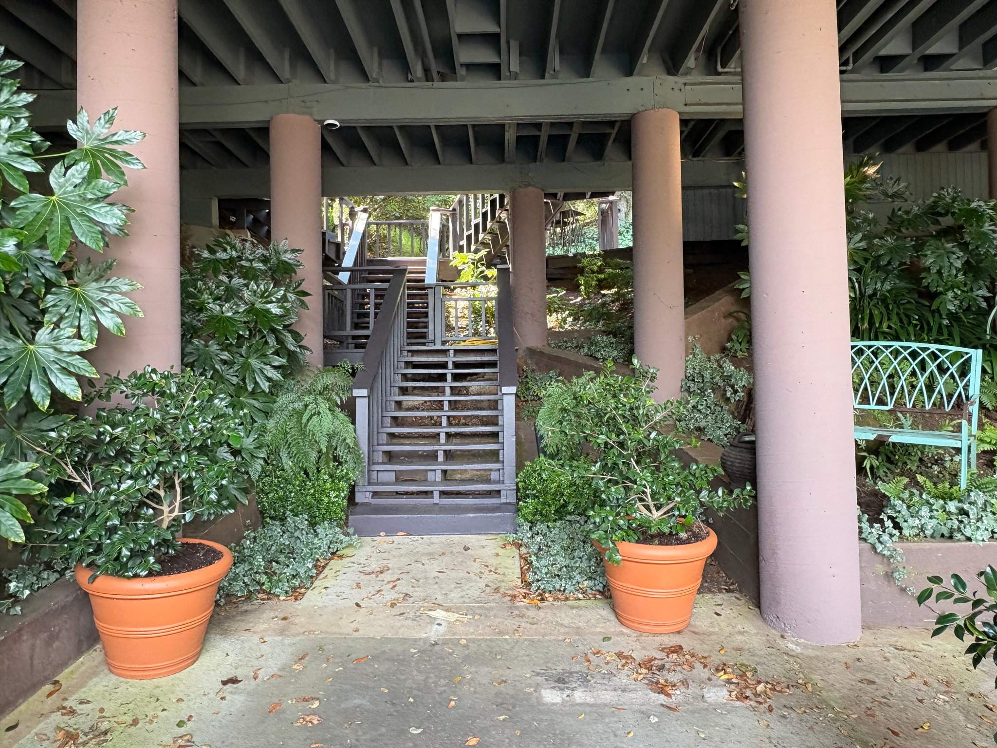 Sausalito Multiplex: 127 Edwards Ave