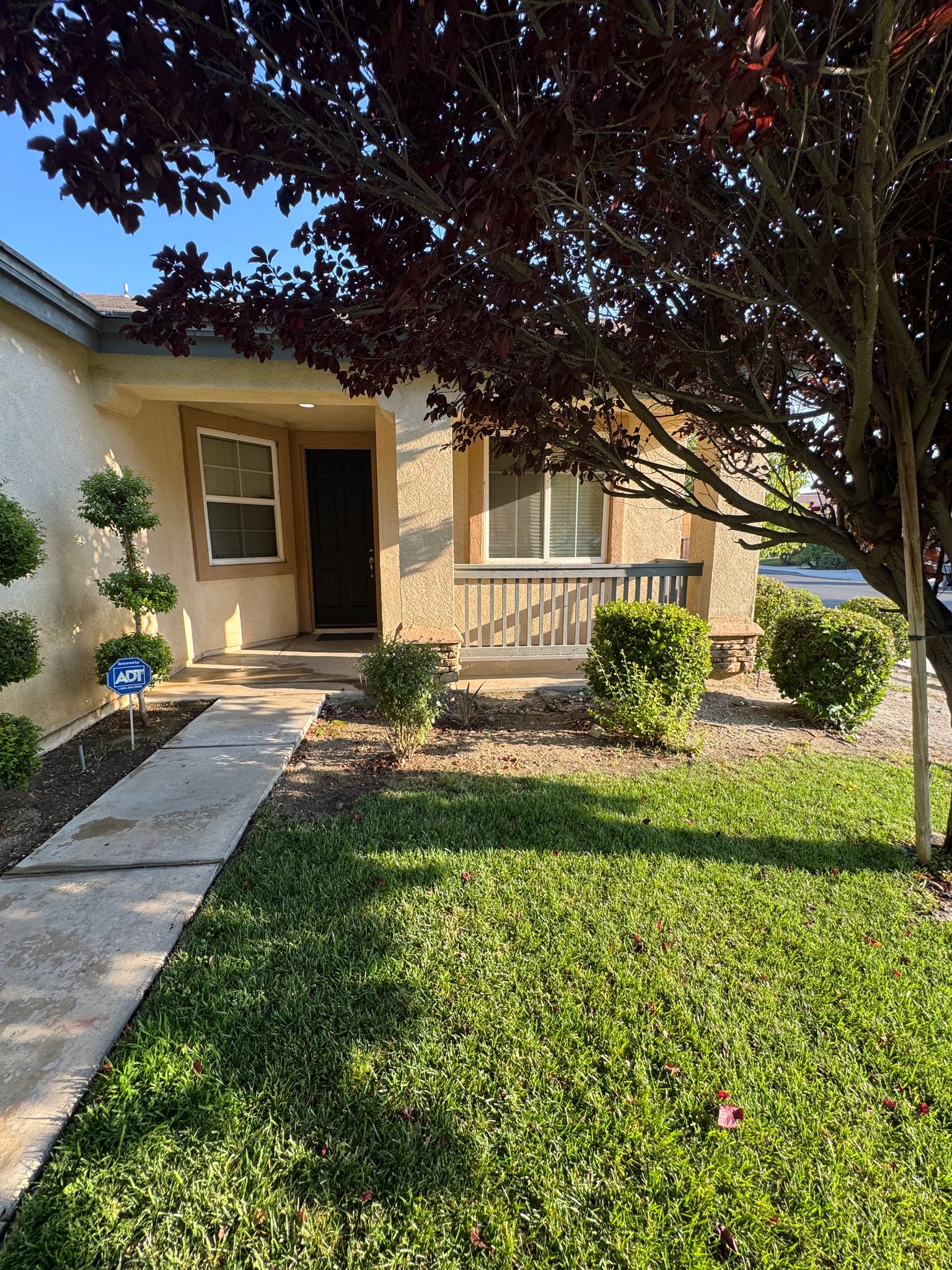 San Jacinto House: 2274 Purple Finch ct